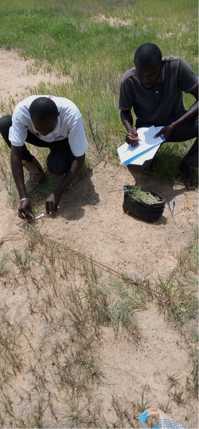 Étude de faisabilité de la réintroduction de la Gazelle dama dans la Réserve de Biosphère de Gadabedji (2021-2023)
